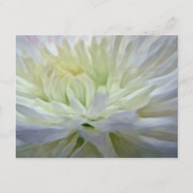 White flower postcard (Front)
