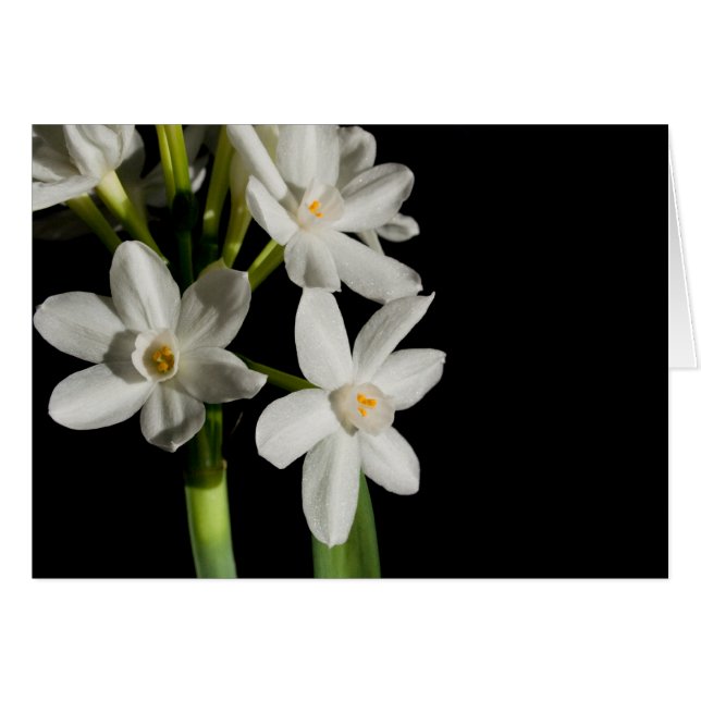 White Flower Spring Event And Wedding Card (Front Horizontal)