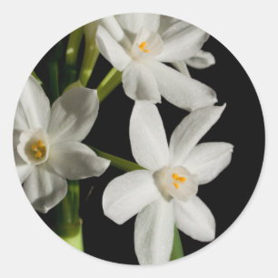 White Flower Spring Event And Wedding Sticker