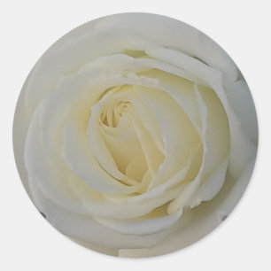 white flower sticker