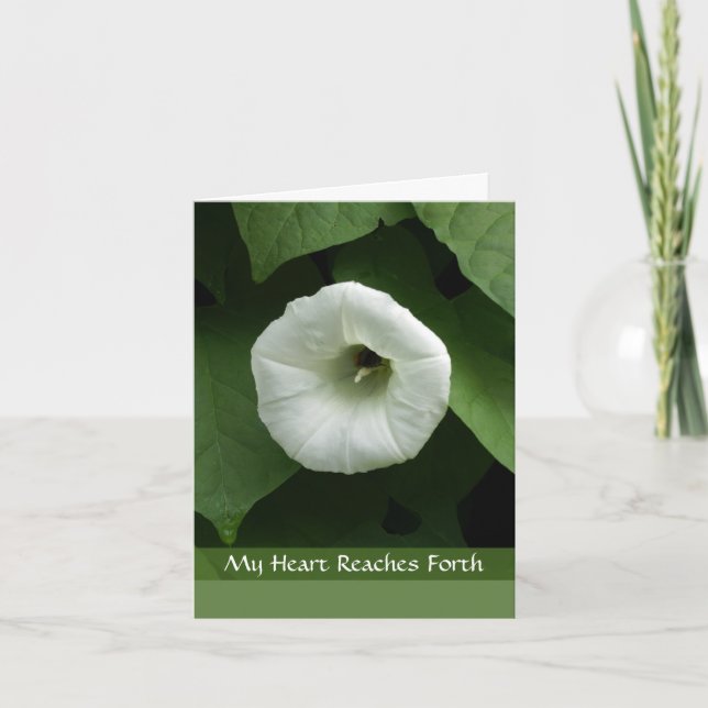 White Flower Sympathy Condolence Card (Front)