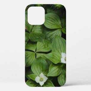 WHITE FLOWER WITH GREEN LEAVES iPhone 12 CASE