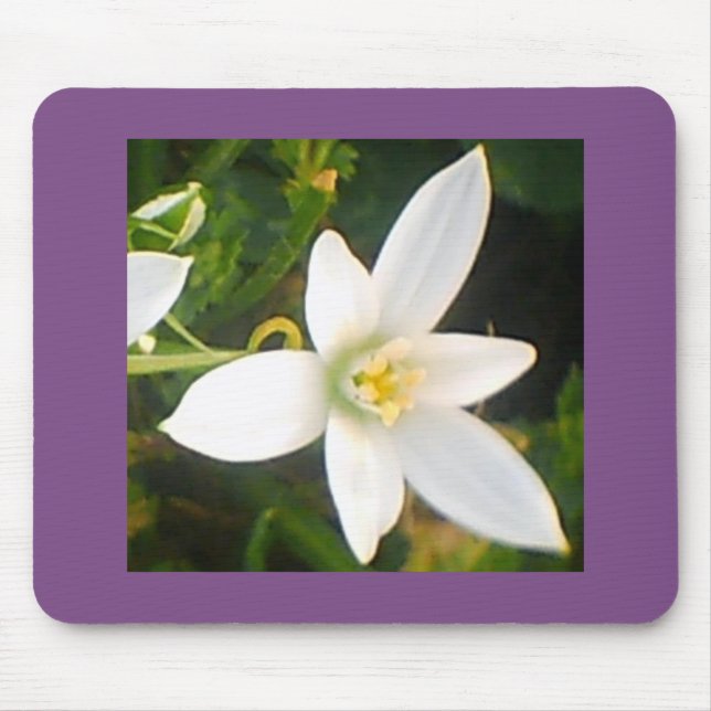 White Flowering Bloom Mouse Pad (Front)
