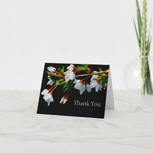 White flowering cherry tree, white blossoms   thank you card