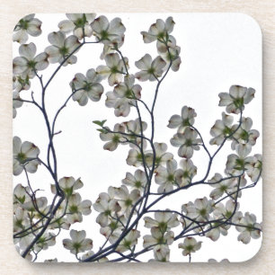 White Flowering Dogwood Coaster