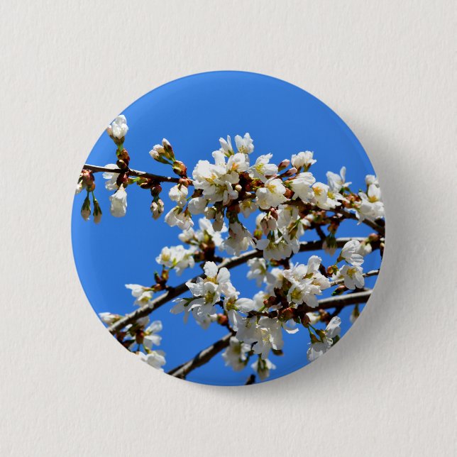 White flowering spring tree white floral blossom  2 inch round button (Front)