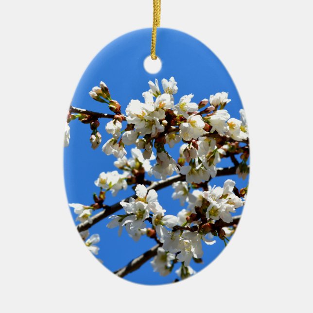 White flowering spring tree white floral blossom  ceramic ornament (Front)