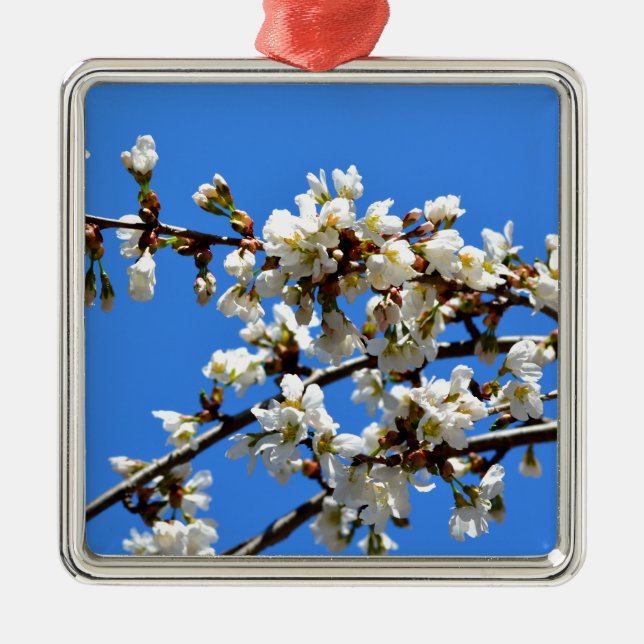 White flowering spring tree white floral blossom  metal ornament (Front)