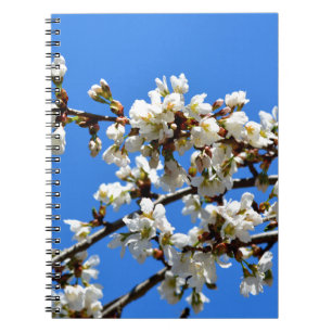 White flowering spring tree white floral blossom  notebook