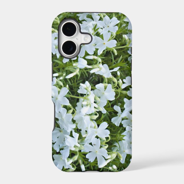 White flowers (Back)