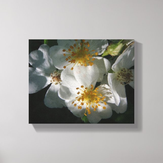 White Flowers Canvas Print (Front)