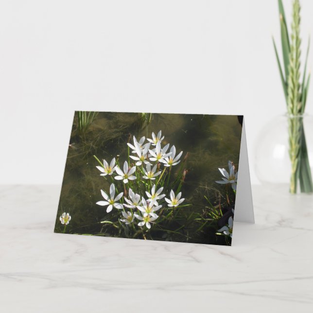 White Flowers Card (Front)