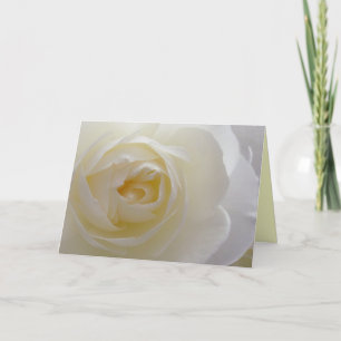 White Flowers Card Rose Flower Greeting Card Blank