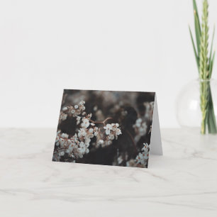 White flowers in moody light, Sympathy Card