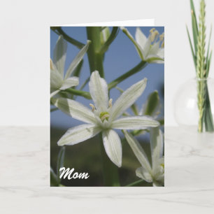 White Flowers Mother's Day Card