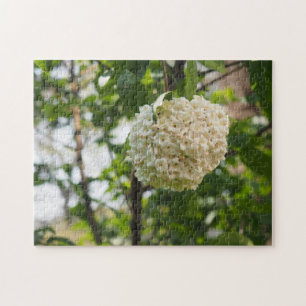 White Flowers Nature Photography Garden Jigsaw Puzzle
