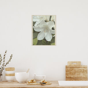 White Flowers Photo Poster