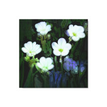 WHITE FLOWERS STRETCHED CANVAS