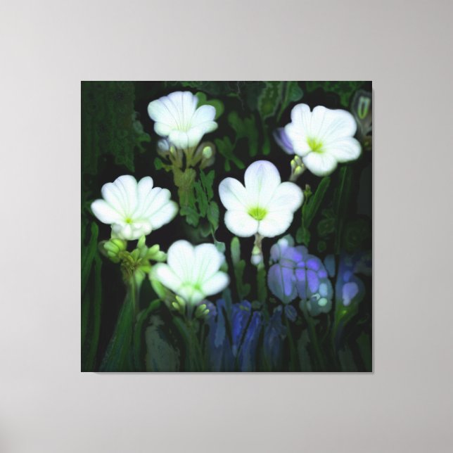 WHITE FLOWERS STRETCHED CANVAS  PRINT (Front)