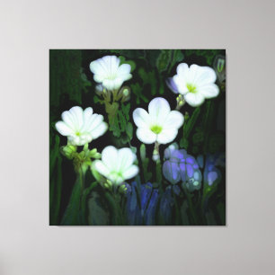 WHITE FLOWERS STRETCHED CANVAS  PRINT