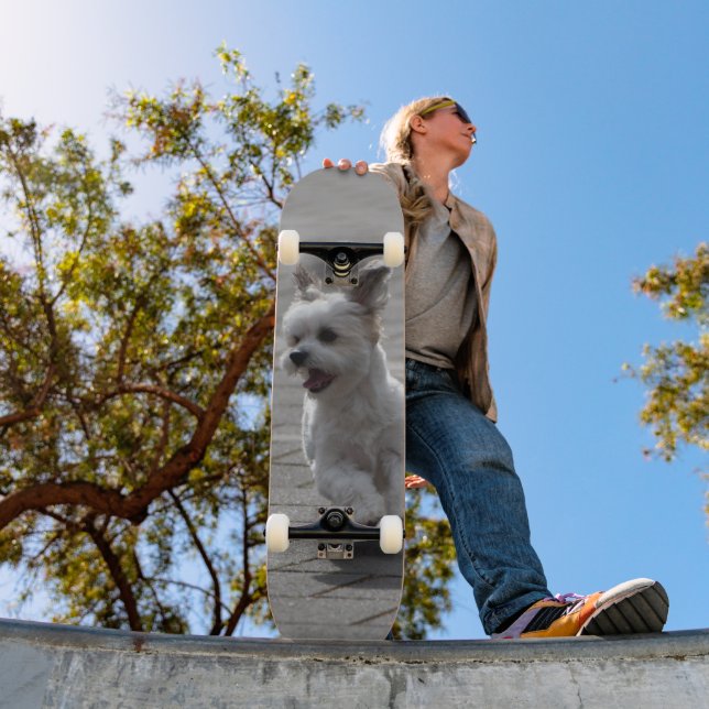 White Fluffy Dog Skateboard Running (Outdoor 1)
