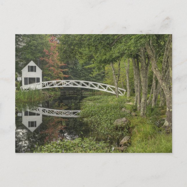 White footbridge, Somesville, Mount Desert Postcard (Front)