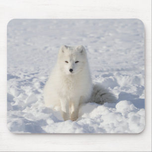 White fox mouse pad