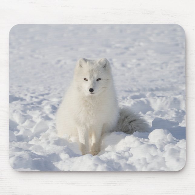 White fox mouse pad (Front)