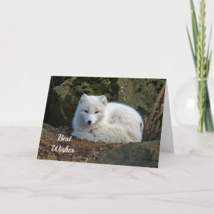 White Fox Photo Congratulations Wedding Card
