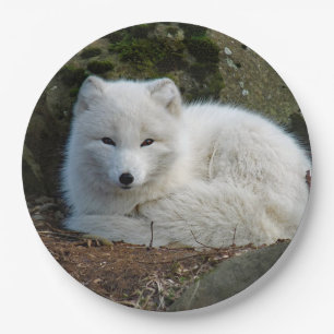 White Fox Photo Paper Plate