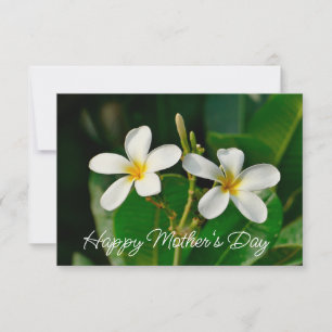 White Frangipani Card 