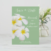 White Frangipani Flowers, on Sage, Save Date