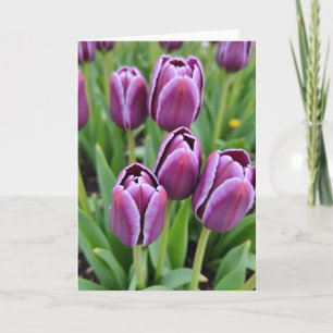White Fringed Mothers Day Card