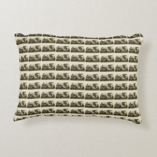 White-fronted Goose from Audubon Birds of America Accent Pillow