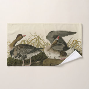 White-fronted Goose from Audubon Birds of America Bath Towel Set