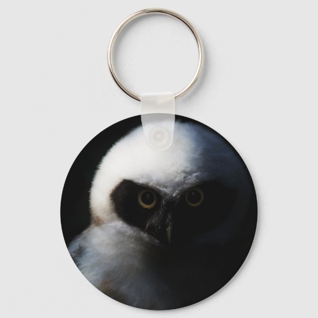 White Fuzzy Owl with Piercing Gaze Keychain (Front)