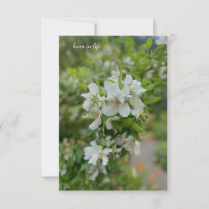 White Garden Flowers Card