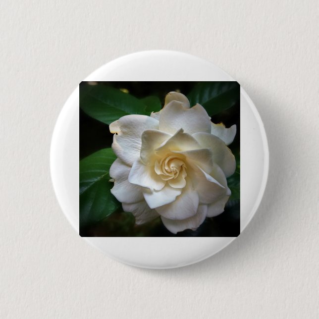White Gardenia 2 Inch Round Button (Front)