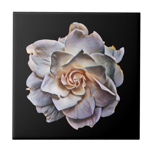 White Gardenia Black Background Tile (Front)