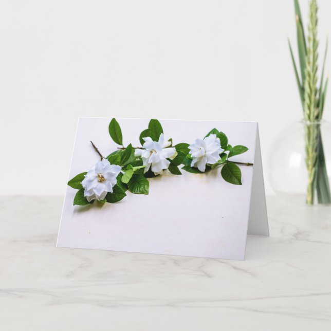 White Gardenia Flowers Card (Front)
