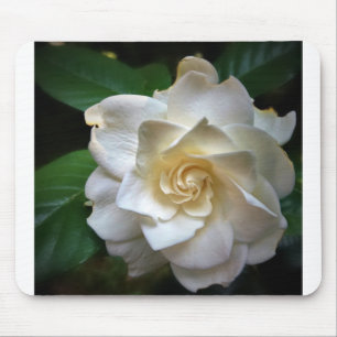 White Gardenia Mouse Pad