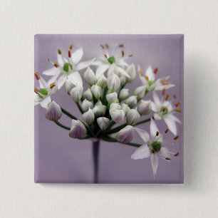 White Garlic Chive Blossoms on Purple 2 Inch Square Button