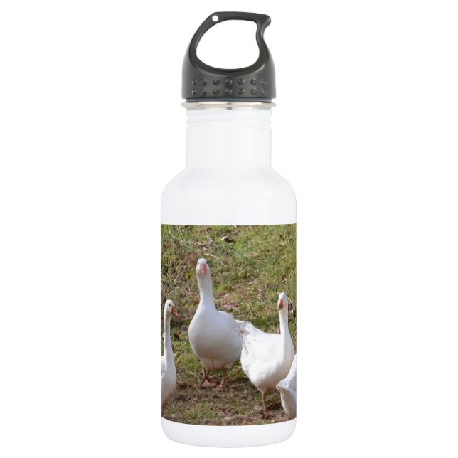 White Geese 532 Ml Water Bottle (Front)