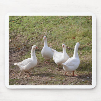White Geese Mouse Pad