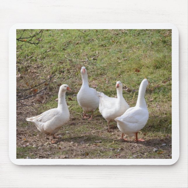 White Geese Mouse Pad (Front)