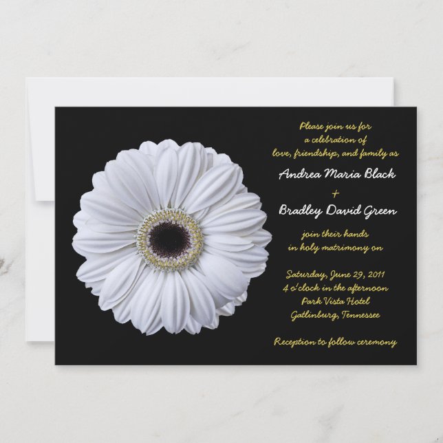 White Gerbera Daisy Black Wedding Invitation (Front)