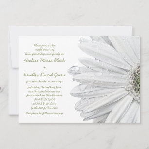 White Gerbera Daisy Wedding Invitation