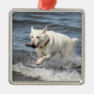 White German Shepard on Lake George Metal Ornament