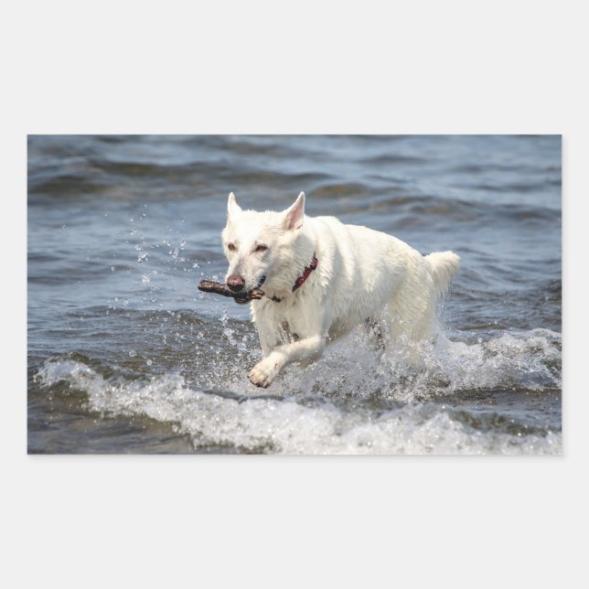 White German Shepard on Lake George Sticker (Front)