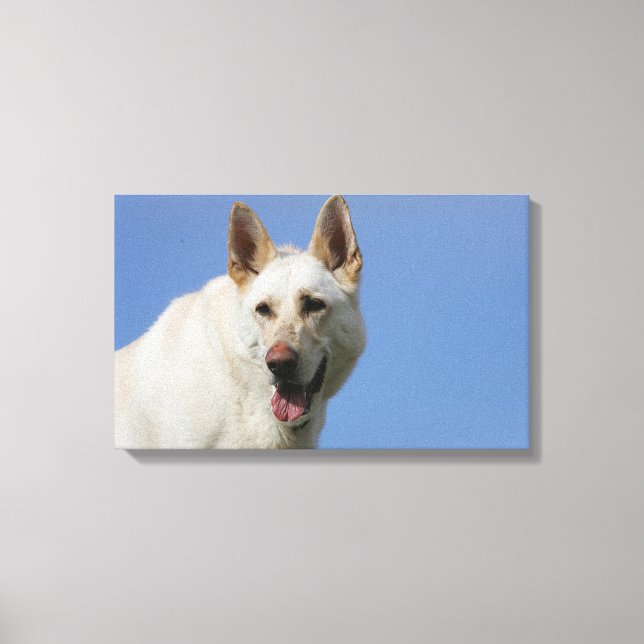 White German Shepherd Canvas Print (Front)